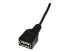 StarTech.com 1 ft Mini USB 2.0 Cable - Närbild